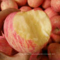 Sweet Fruit Fresh FUJI Apple From China High Quality